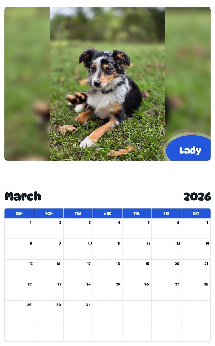 November 2025 - October 2026 Lady - Pawidols Pet Calendar