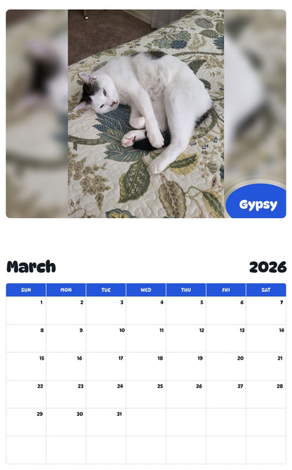 November 2025 - October 2026 Gypsy - Pawidols Pet Calendar