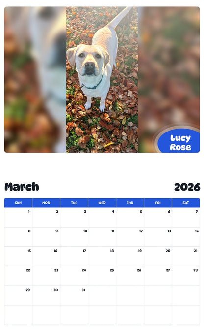 November 2025 - October 2026 Lucy Rose - Pawidols Pet Calendar