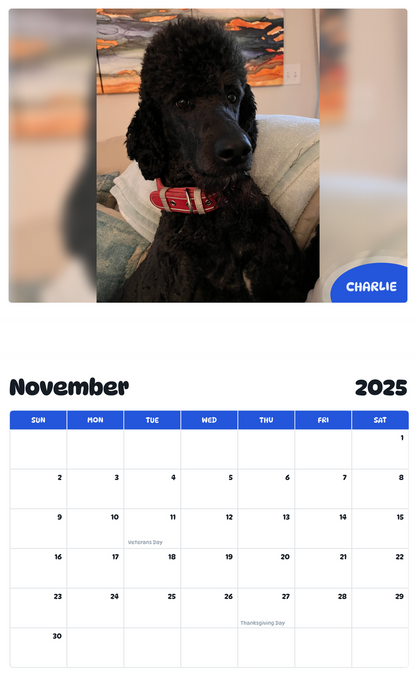July 2025 - June 2026 Charlie - Pawidols Pet Calendar
