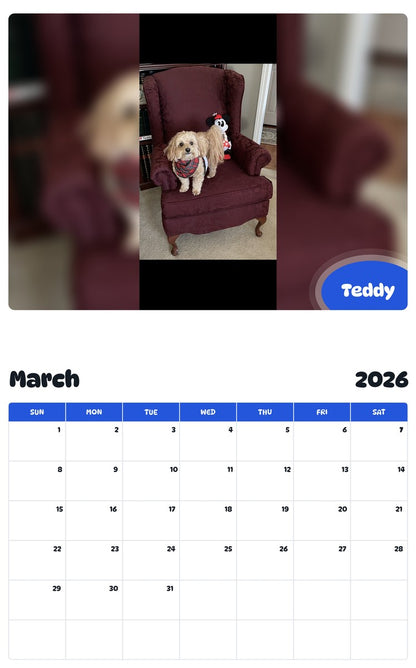 November 2025 - October 2026 Teddy - Pawidols Pet Calendar