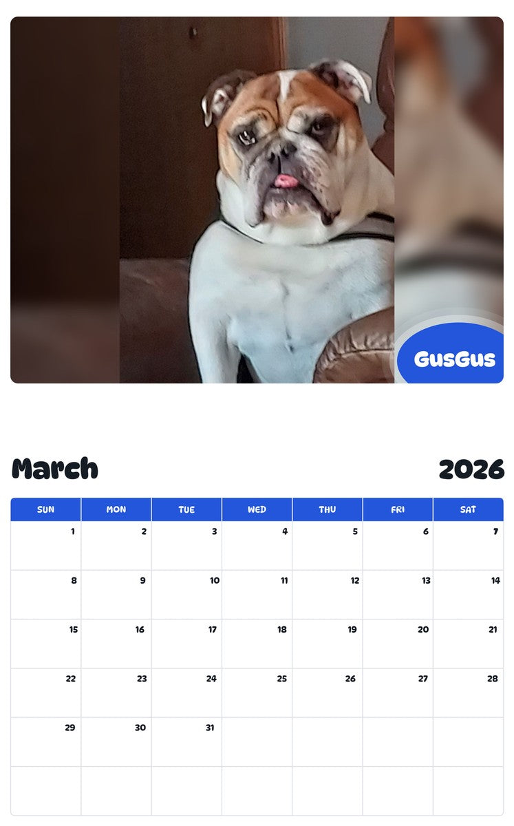 November 2025 - October 2026 GusGus - Pawidols Pet Calendar