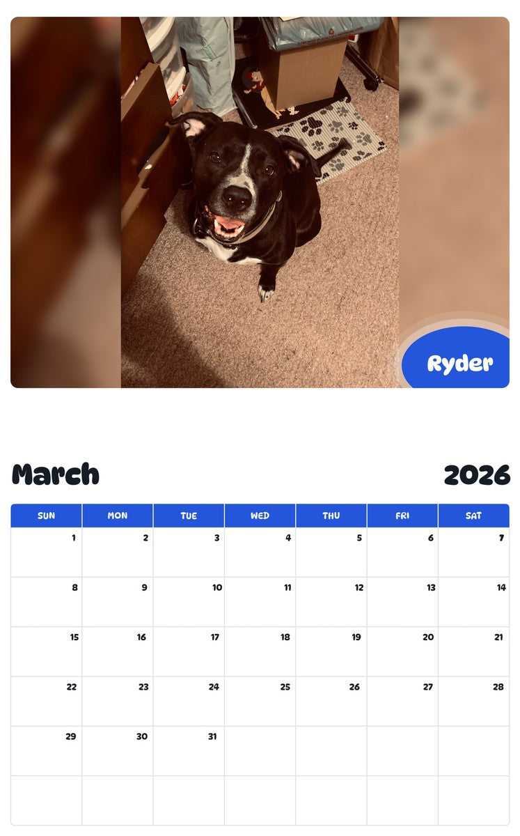 November 2025 - October 2026 Ryder - Pawidols Pet Calendar