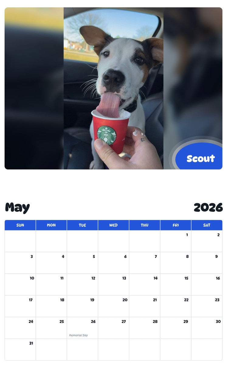 2026 - 2027 Scout - Pawidols Pet Calendar