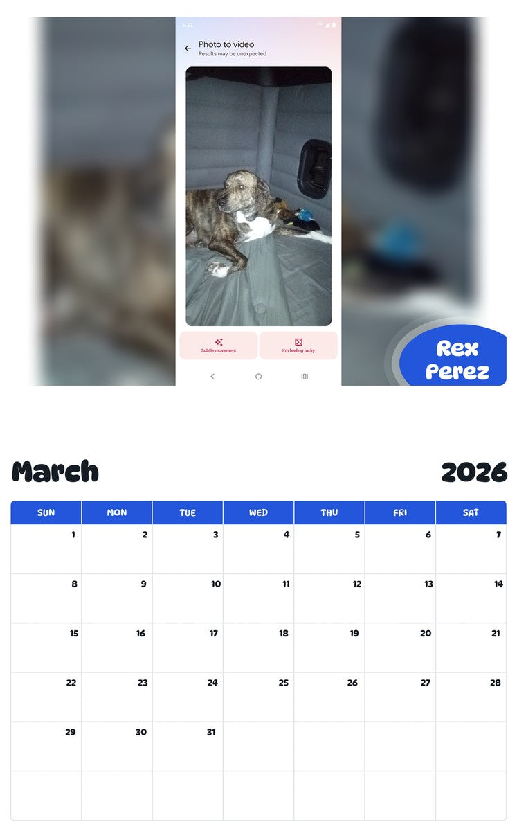 November 2025 - October 2026 Rex Perez - Pawidols Pet Calendar