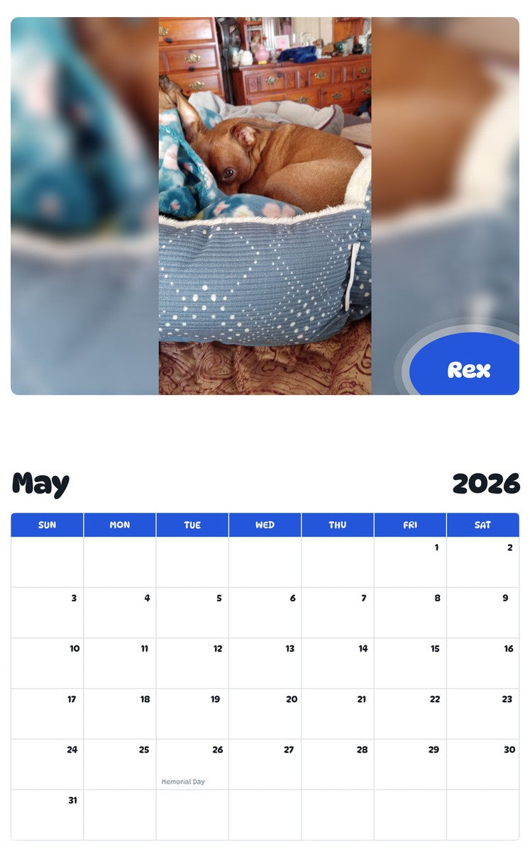 2026 - 2027 Rex - Pawidols Pet Calendar