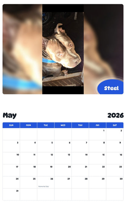 2026 - 2027 Steel - Pawidols Pet Calendar