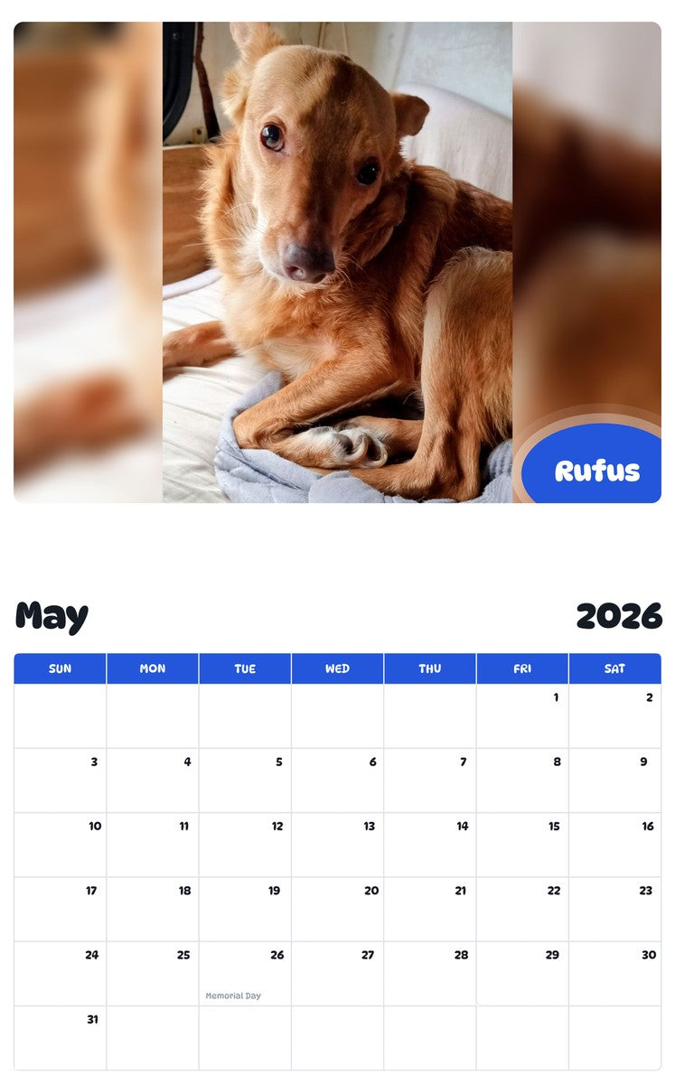 2026 - 2027 Rufus - Pawidols Pet Calendar