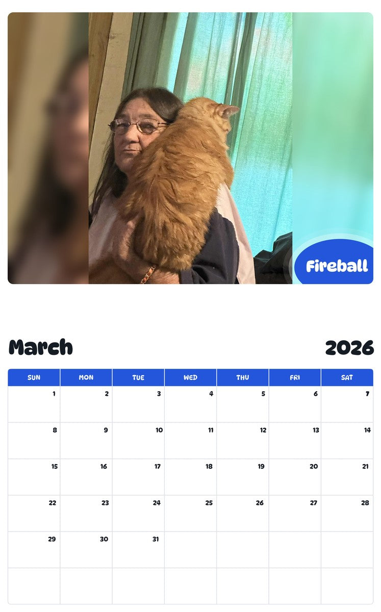 November 2025 - October 2026 Fireball - Pawidols Pet Calendar
