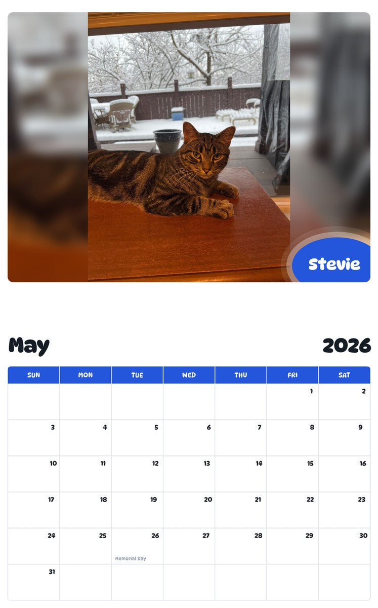 2026 - 2027 Stevie - Pawidols Pet Calendar
