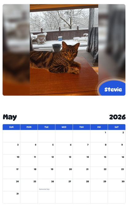2026 - 2027 Stevie - Pawidols Pet Calendar