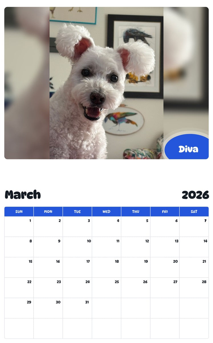 November 2025 - October 2026 Diva - Pawidols Pet Calendar
