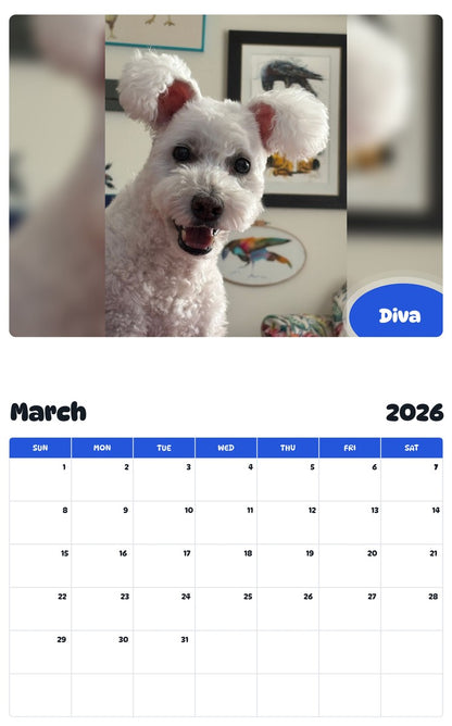 November 2025 - October 2026 Diva - Pawidols Pet Calendar