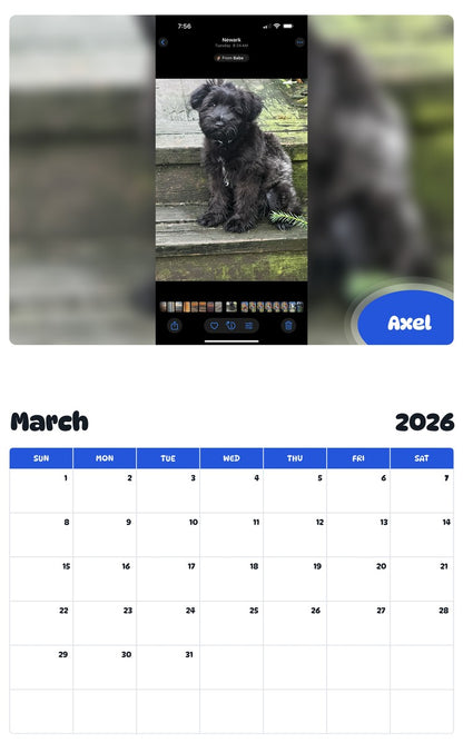 November 2025 - October 2026 Axel - Pawidols Pet Calendar