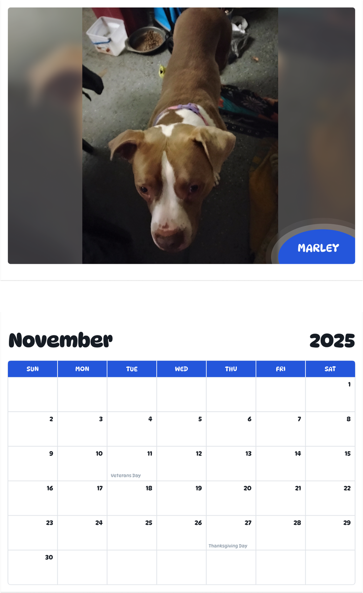 July 2025 - June 2026 Marley - Pawidols Pet Calendar
