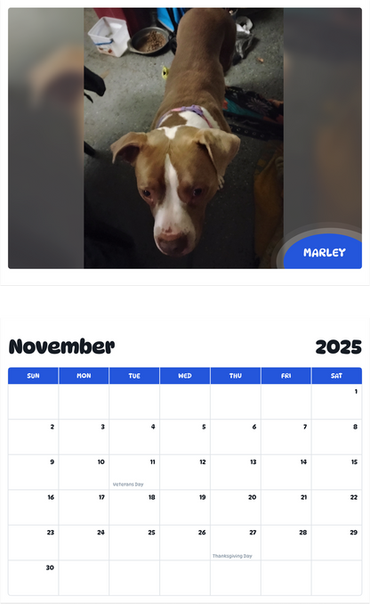 July 2025 - June 2026 Marley - Pawidols Pet Calendar