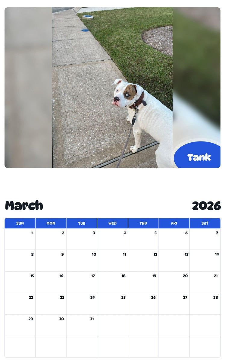 November 2025 - October 2026 Tank - Pawidols Pet Calendar