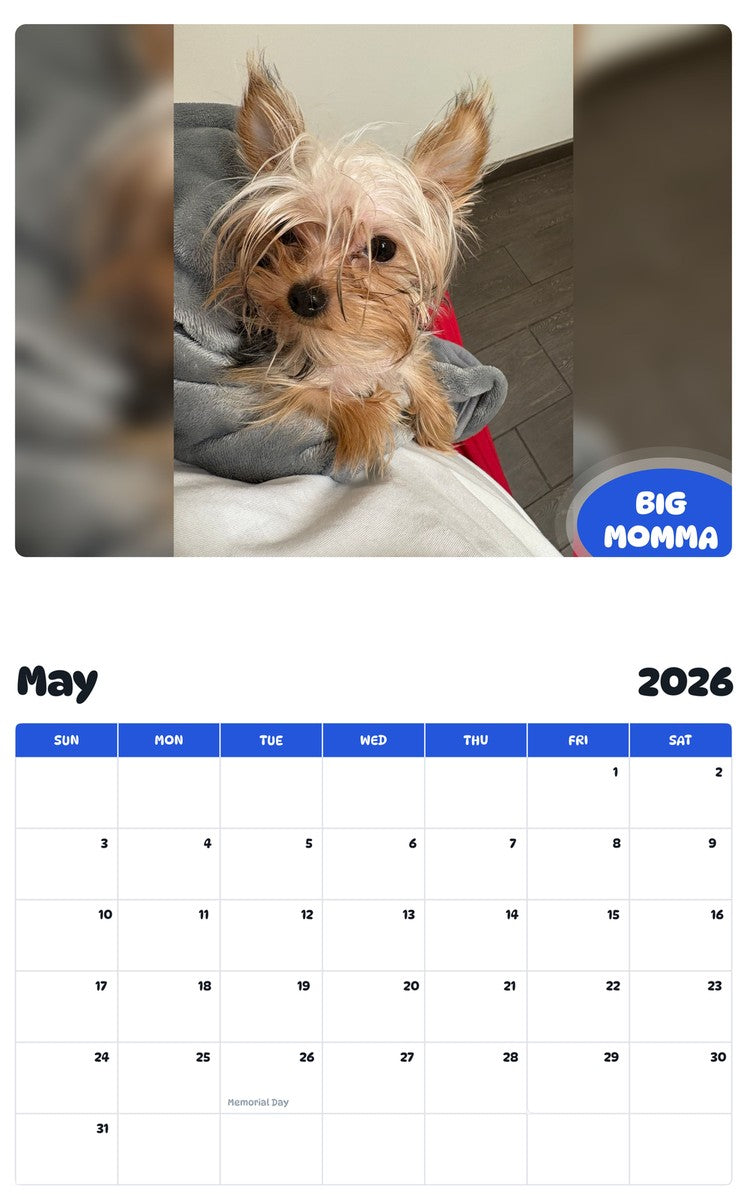 2026 - 2027 BIG MOMMA - Pawidols Pet Calendar