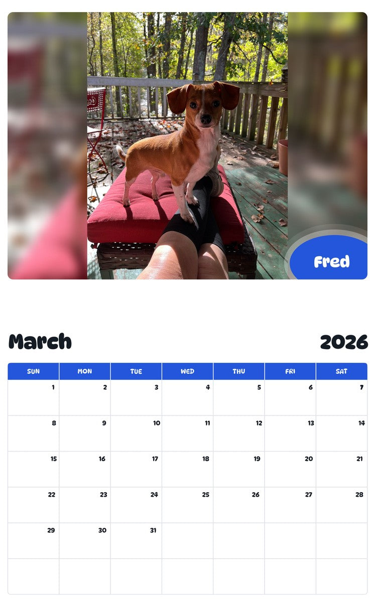 November 2025 - October 2026 Fred - Pawidols Pet Calendar