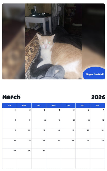 November 2025 - October 2026 Ginger Yard Cat! - Pawidols Pet Calendar