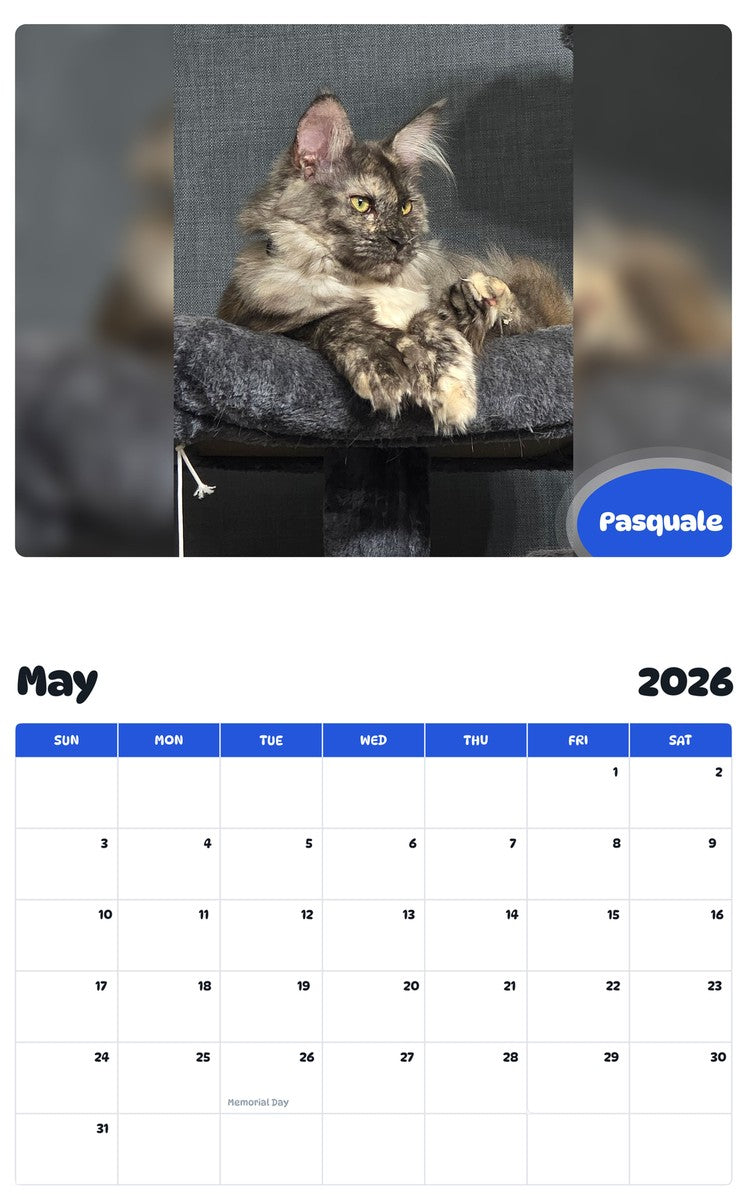 2026 - 2027 Pasquale - Pawidols Pet Calendar