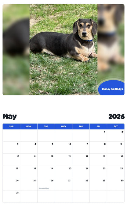 2026 - 2027 Clancy an Gladys - Pawidols Pet Calendar