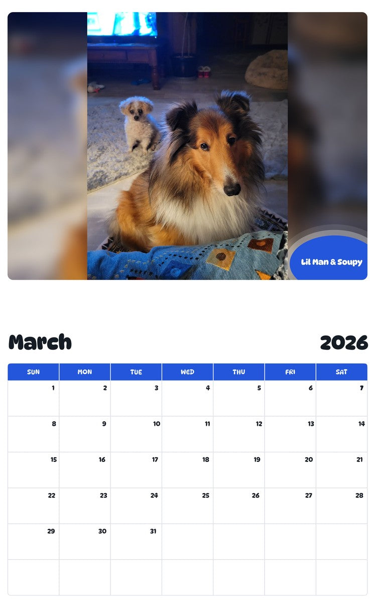 November 2025 - October 2026 Lil Man & Soupy - Pawidols Pet Calendar