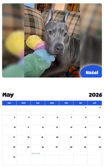 2026 - 2027 Hazel - Pawidols Pet Calendar
