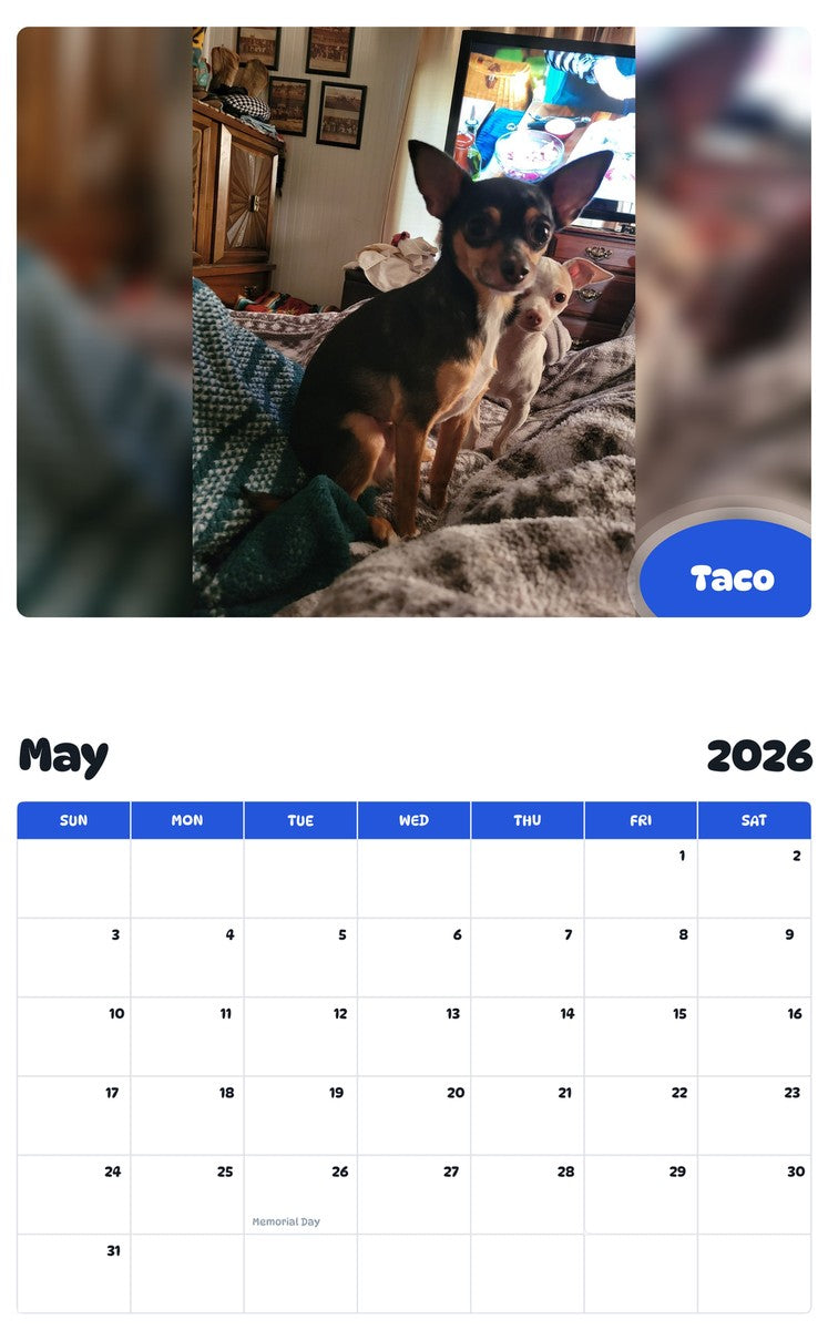 2026 - 2027 Taco - Pawidols Pet Calendar