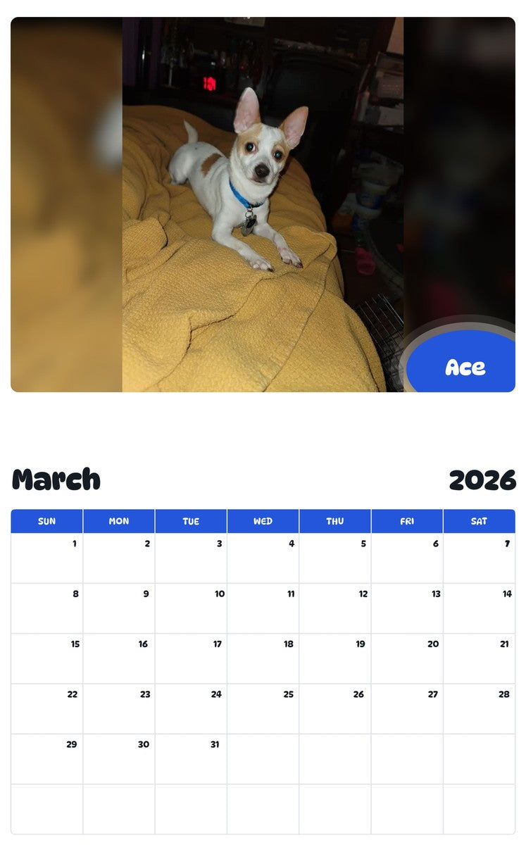November 2025 - October 2026 Ace - Pawidols Pet Calendar