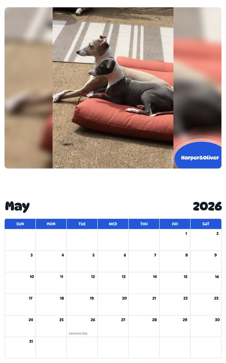 2026 - 2027 Harper&Oliver - Pawidols Pet Calendar