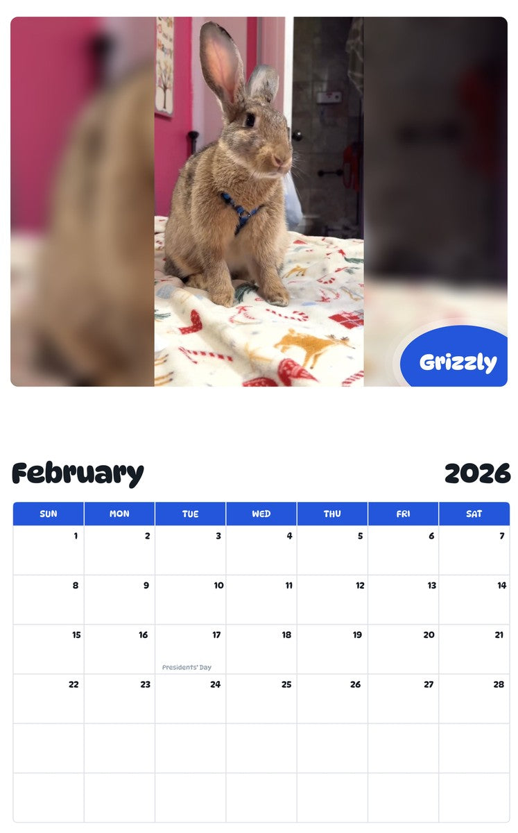 October 2025 - September 2026 Grizzly - Pawidols Pet Calendar