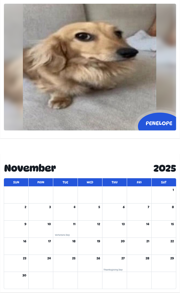 July 2025 - June 2026 Penelope - Pawidols Pet Calendar