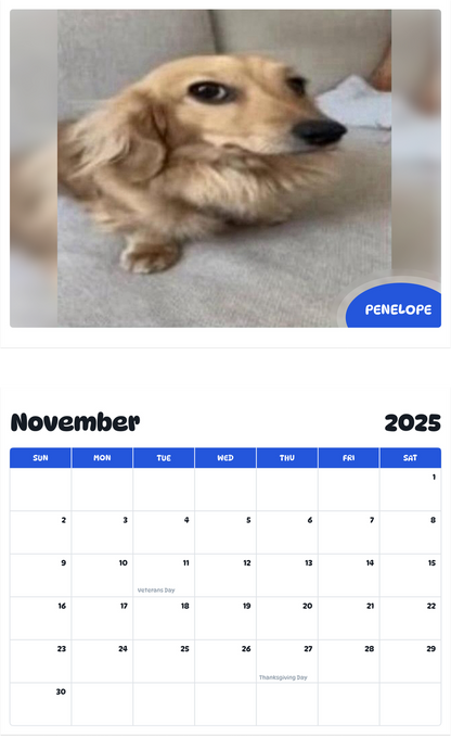 July 2025 - June 2026 Penelope - Pawidols Pet Calendar