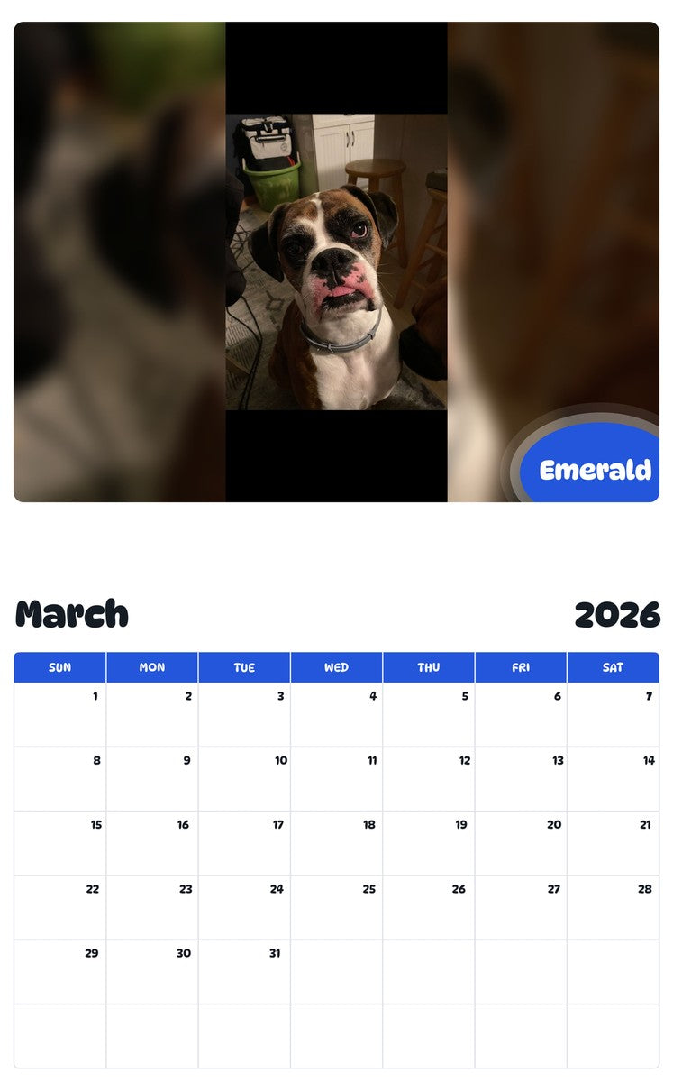 November 2025 - October 2026 Emerald - Pawidols Pet Calendar