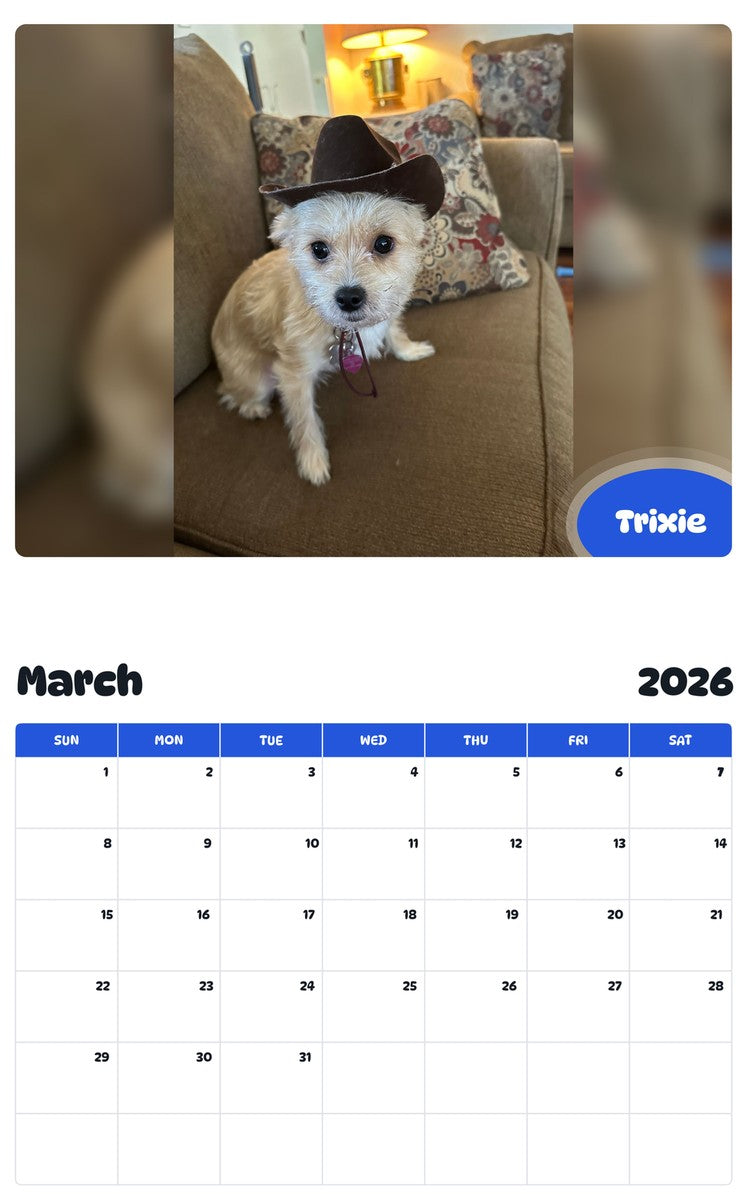 November 2025 - October 2026 Trixie - Pawidols Pet Calendar