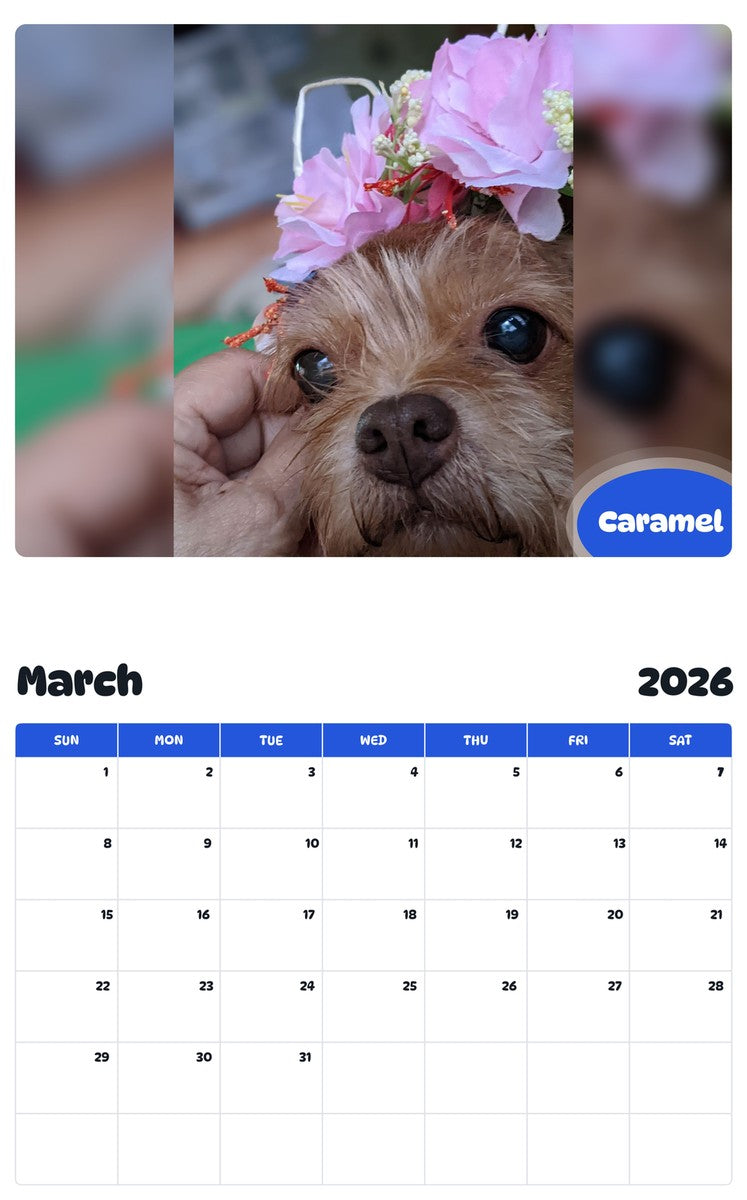 November 2025 - October 2026 Caramel - Pawidols Pet Calendar