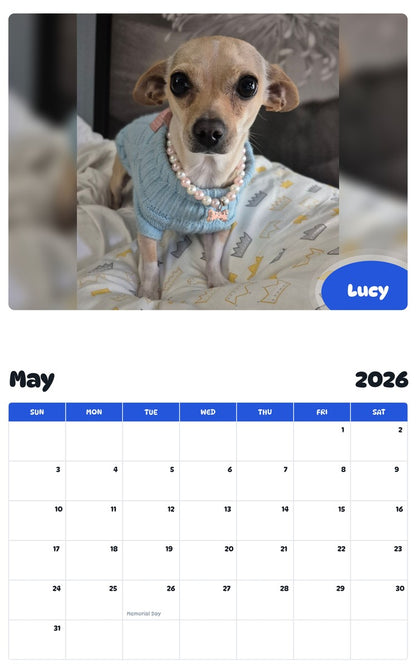 2026 - 2027 Lucy - Pawidols Pet Calendar