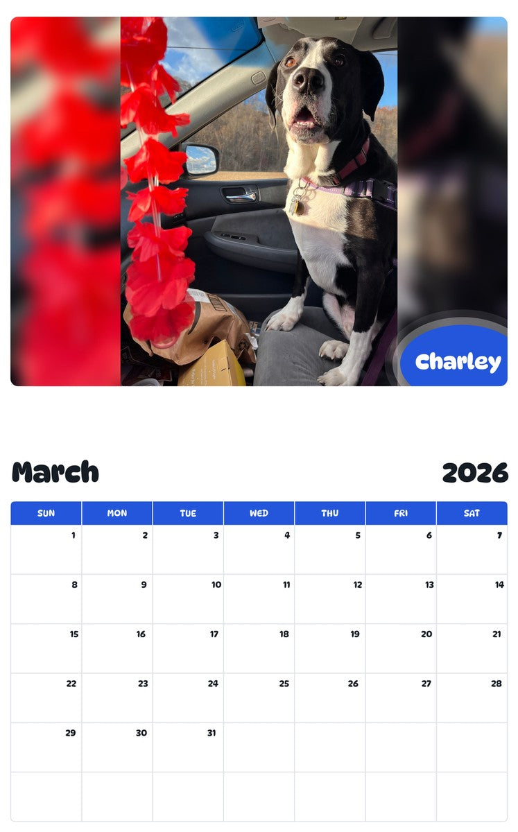 November 2025 - October 2026 Charley - Pawidols Pet Calendar