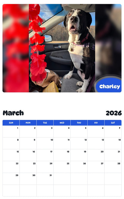 November 2025 - October 2026 Charley - Pawidols Pet Calendar