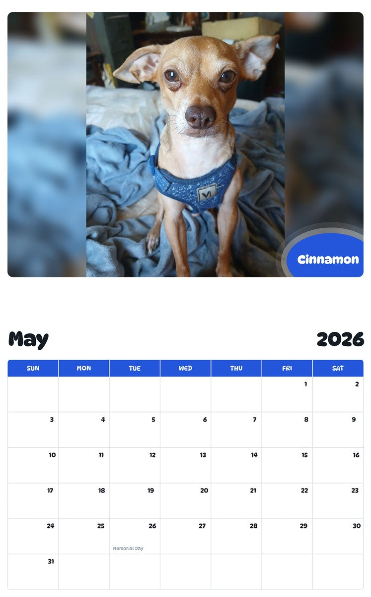 2026 - 2027 Cinnamon - Pawidols Pet Calendar