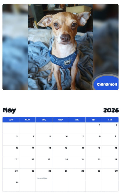 2026 - 2027 Cinnamon - Pawidols Pet Calendar