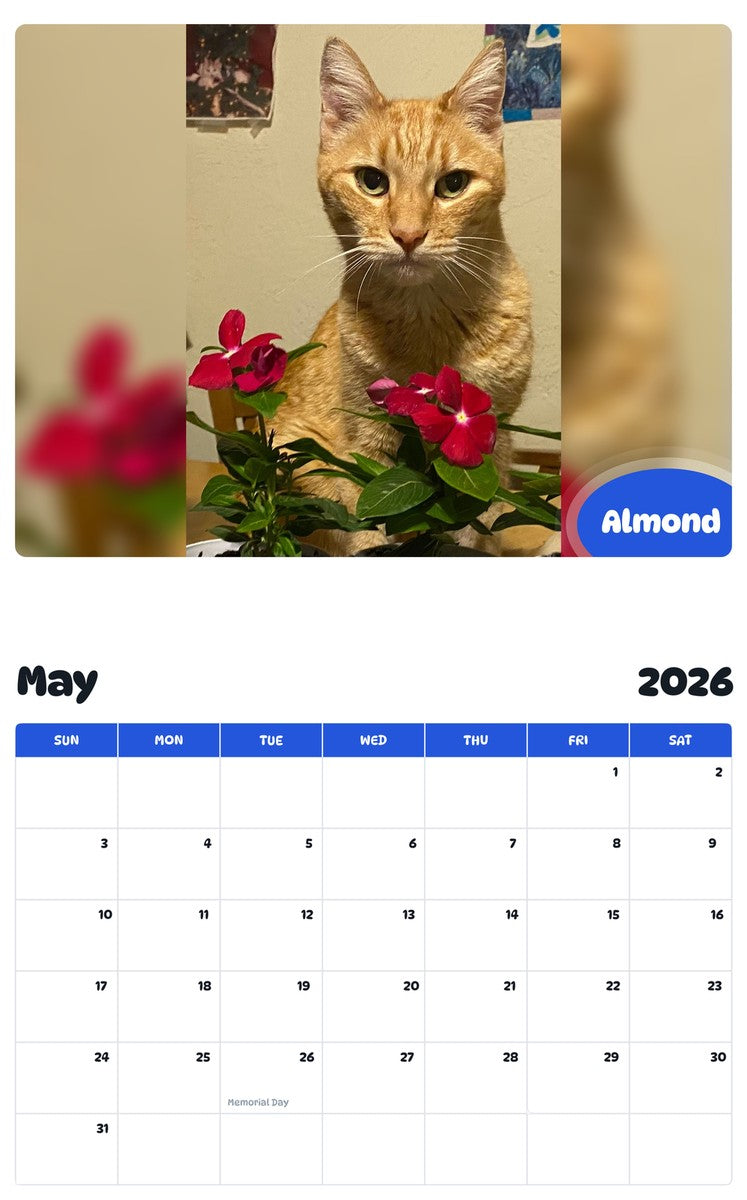 2026 - 2027 Almond - Pawidols Pet Calendar