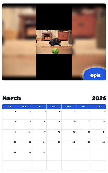 November 2025 - October 2026 Opie - Pawidols Pet Calendar