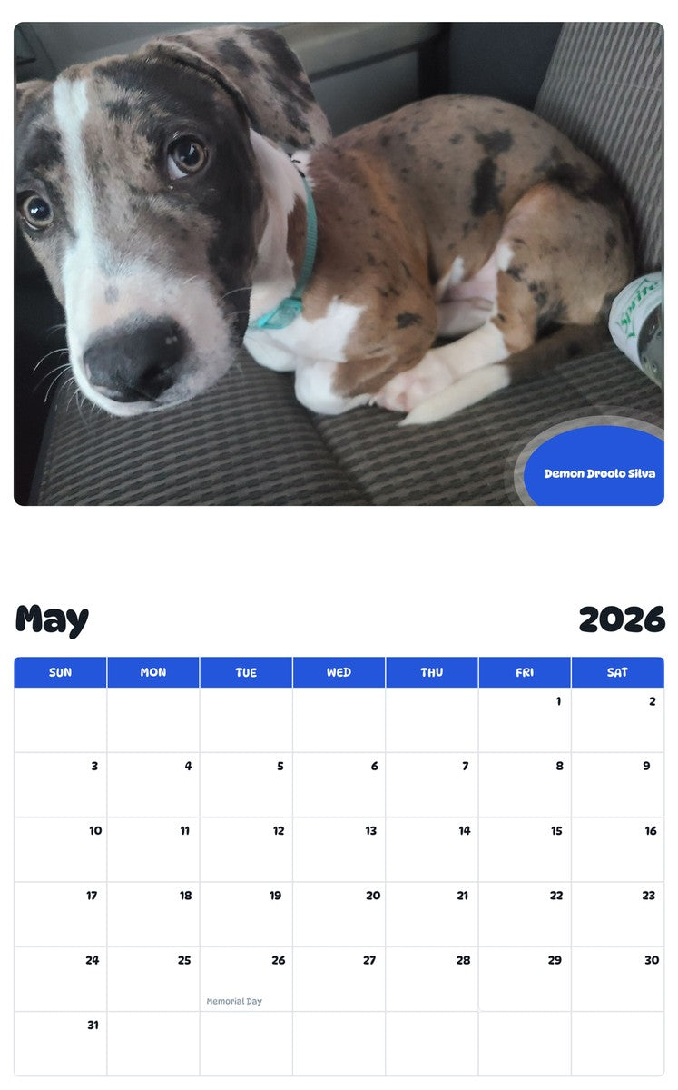 2026 - 2027 Demon Droolo Silva - Pawidols Pet Calendar