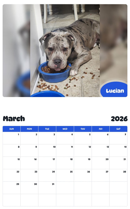 November 2025 - October 2026 Lucian - Pawidols Pet Calendar