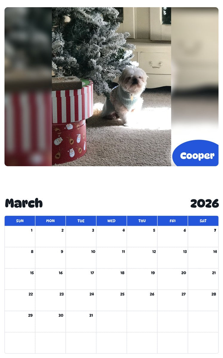 November 2025 - October 2026 Cooper - Pawidols Pet Calendar