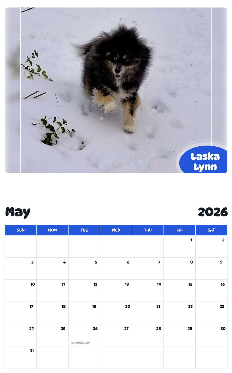 2026 - 2027 Laska Lynn - Pawidols Pet Calendar