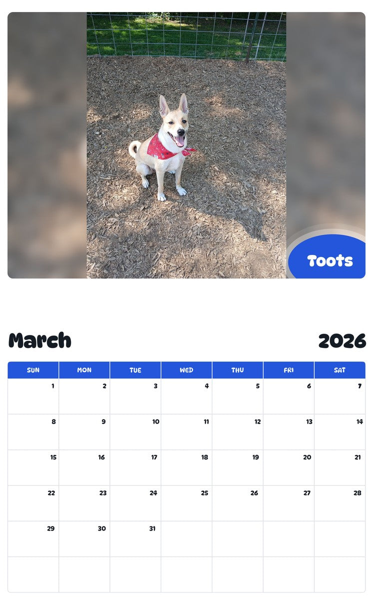 November 2025 - October 2026 Toots - Pawidols Pet Calendar