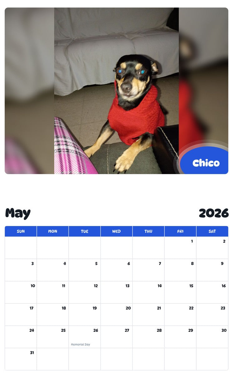 2026 - 2027 Chico - Pawidols Pet Calendar